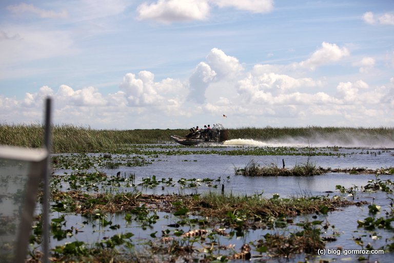 Everglades airboat