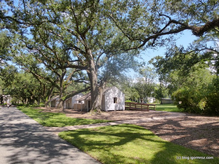 Oak Alley Plantation 01