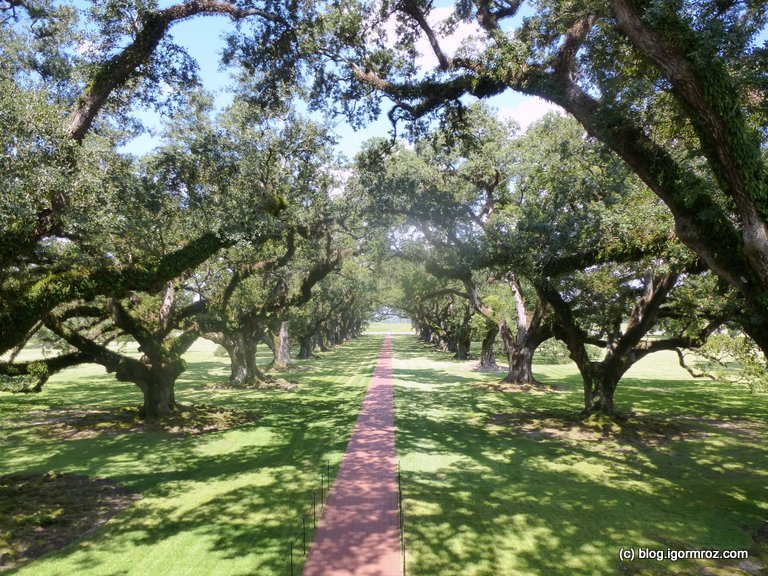 Oak Alley Plantation 07