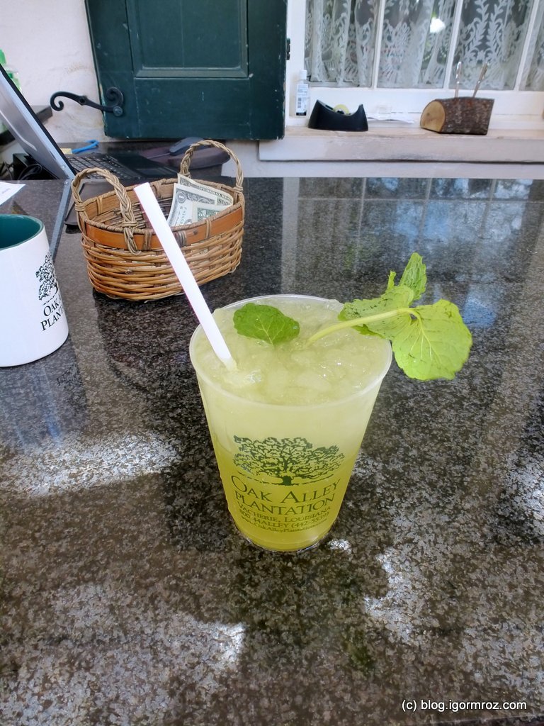 Mint Julep