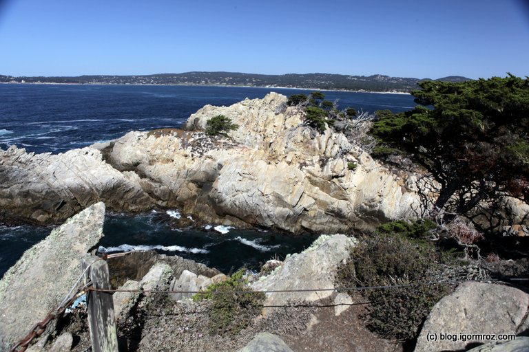 Park Stanowy Point Lobos Skały