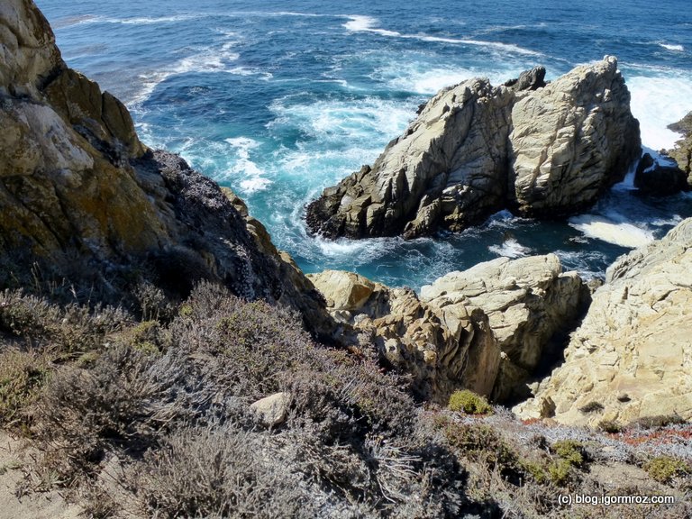 Park Stanowy Point Lobos Wybrzeże