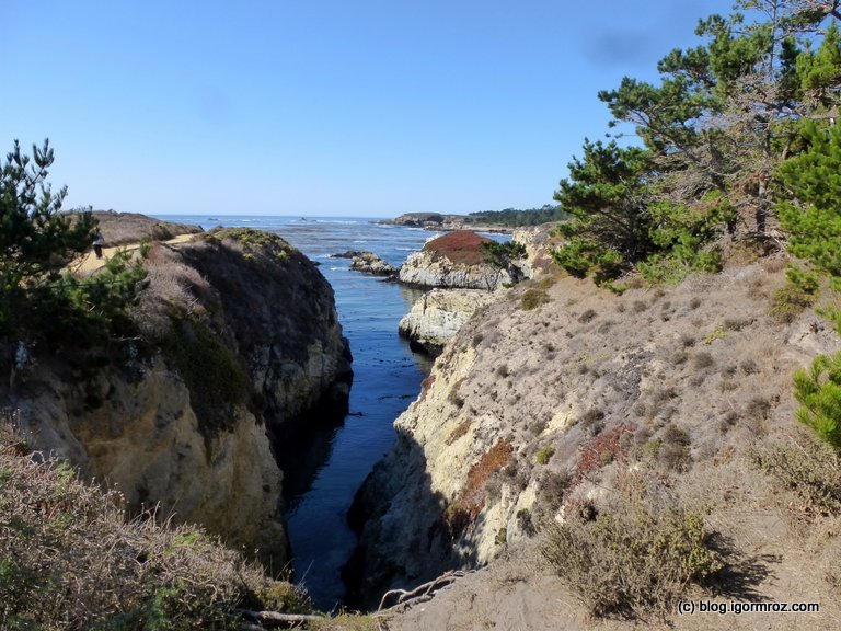 Park Stanowy Point Lobos Klify