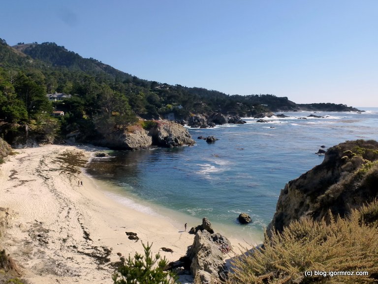 Park Stanowy Point Lobos Plaża