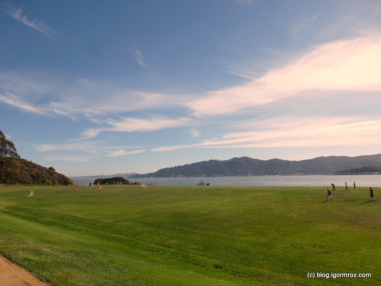 kalifornia, tiburon, łąka nad zatoką