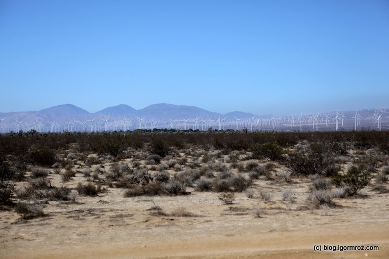 Road, Mojave 03